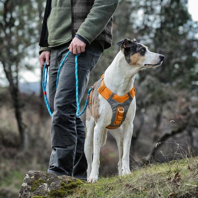 Show full view: Kurgo Journey Air Polyester Reflective No Pull Dog Harness, Orange, X-Large slide 7 of 9