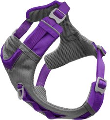 Kurgo Journey Air Polyester Reflective No Pull Dog Harness, Purple, Large