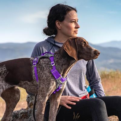 Show full view: Kurgo Journey Air Polyester Reflective No Pull Dog Harness, Purple, Large slide 5 of 9