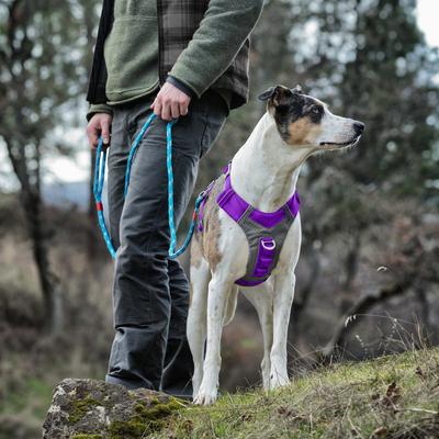 Show full view: Kurgo Journey Air Polyester Reflective No Pull Dog Harness, Purple, Small slide 7 of 9