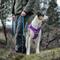 Show in main carousel: Kurgo Journey Air Polyester Reflective No Pull Dog Harness, Purple, X-Large slide 7 of 9