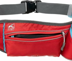 Kurgo K9 Excursion Polyester Reflective Hands-Free Running Dog Leash, Red slide 2 of 6