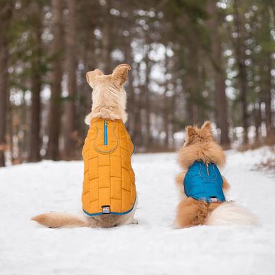Show full view: Kurgo Loft Reversible Insulated Dog Quilted Coat, Blue, Medium slide 6 of 13