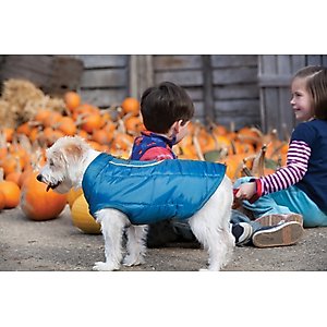 Kurgo Loft Reversible Insulated Dog Quilted Coat, Blue, Medium