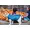 Show in main carousel: Kurgo Loft Reversible Insulated Dog Quilted Coat, Blue, Medium slide 8 of 13
