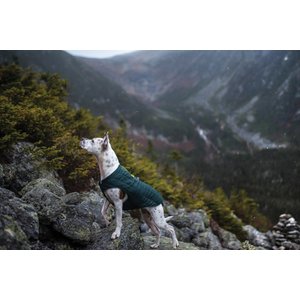 Kurgo Loft Reversible Insulated Dog Quilted Coat, Ink Blue, Medium