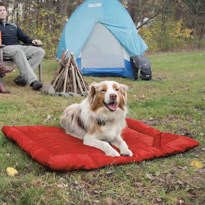 Show full view: Kurgo Loft Wander Travel Pillow Dog Bed, Chili Red, Large slide 6 of 9