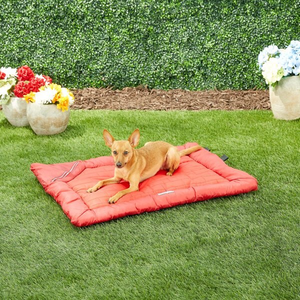 Kurgo Loft Wander Travel Pillow Dog Bed, Chili Red