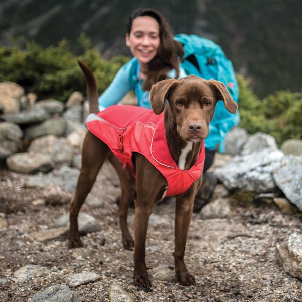 Kurgo North Country Dog Coat