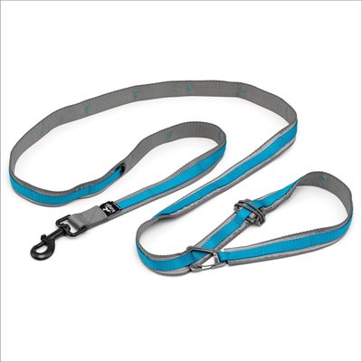 Kurgo Kurgo Reflect & Protect Quantum Nylon Hands-Free Running Dog Leash, Blue, 6-ft long, 1-in wide