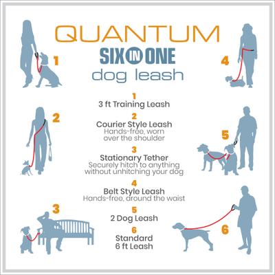 Show full view: Kurgo Reflect & Protect Quantum Nylon Hands-Free Running Dog Leash, Blue, 6-ft long, 1-in wide slide 7 of 14