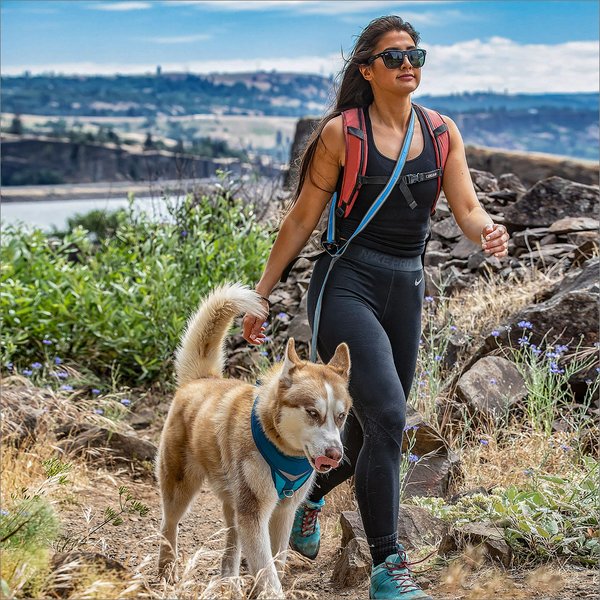 Kurgo Reflect & Protect Quantum Nylon Hands-Free Running Dog Leash