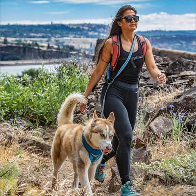 Show full view: Kurgo Reflect & Protect Quantum Nylon Hands-Free Running Dog Leash, Blue, 6-ft long, 1-in wide slide 10 of 14