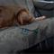 Show in main carousel: Kurgo Rover Dog Bench Seat Cover, Charcoal slide 5 of 9