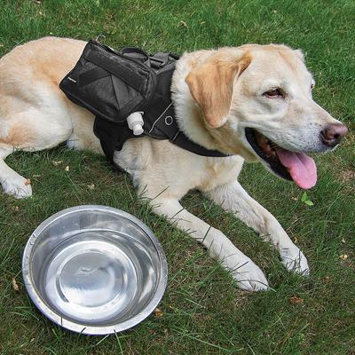 Show full view: Kurgo RSG Dog Hydration Flask, Black, 12-oz slide 3 of 3