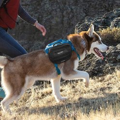 Kurgo RSG Dog Pack Pannier, Black slide 2 of 2