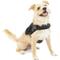Show in main carousel: Kurgo RSG Townie Polyester Reflective Back Clip Dog Harness, Black, X-Small: 12 to 18-in chest slide 1 of 8