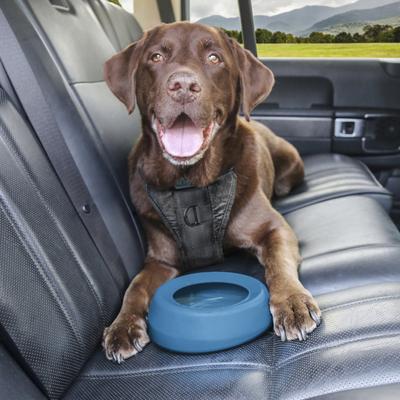 Show full view: Kurgo Splash Free Wander Dog Water Bowl, Blue, 24-oz slide 5 of 9