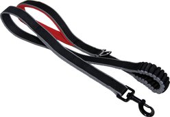 Kurgo Springback Polyester Bungee Running Dog Leash, 4.5-ft long, 1-in wide