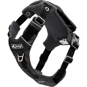 Kurgo Stash n’ Dash Dog Harness, Black, Large 