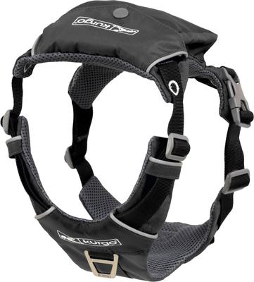 Show full view: Kurgo Stash n’ Dash Dog Harness, Black, Large  slide 10 of 12