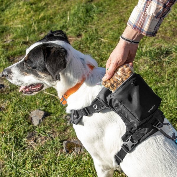 Kurgo Stash n’ Dash Dog Harness, Black