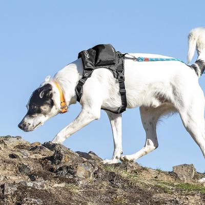 Show full view: Kurgo Stash n’ Dash Dog Harness, Black, Small slide 8 of 11