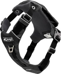 Kurgo Stash n’ Dash Dog Harness, Black, X-Large 