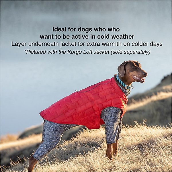 Show full view: Kurgo Stowe Base Layer Dog Sweater, Heather Black, Small slide 3 of 5