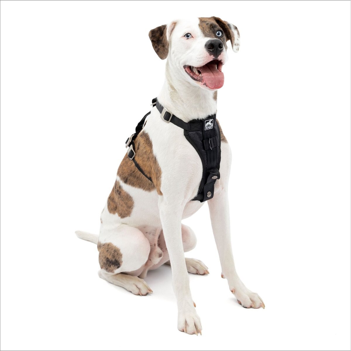 Kurgo Tru-Fit Smart Harness, Black, Medium, 25-50 lbs