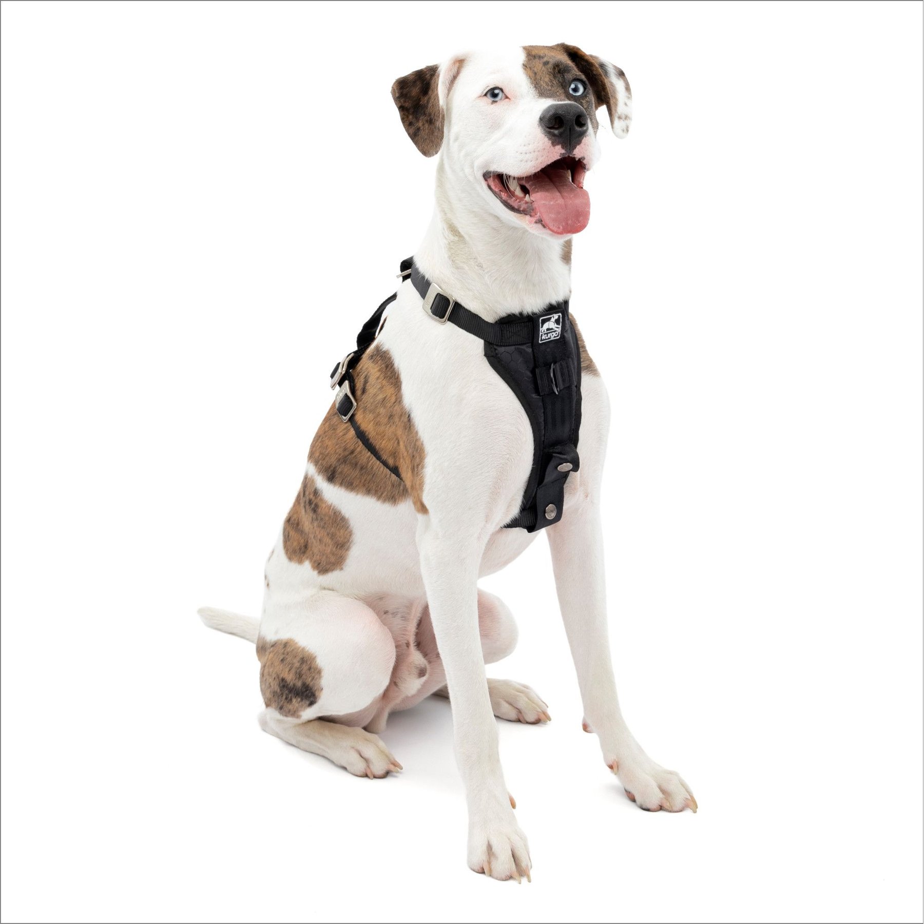 Kurgo Tru-Fit Smart Harness, Black, Medium, 25-50 lbs