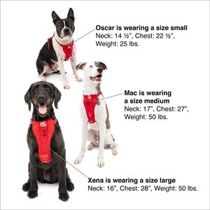 Kurgo Tru-Fit Enhanced Strength Crash Tested Smart Car Dog Harness, Black, Medium
