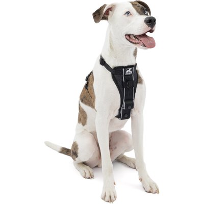 Kurgo Kurgo Tru-Fit Quick Release & Seatbelt Tether Smart Dog Harness, Black, Medium