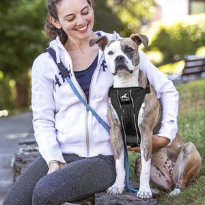 Kurgo Tru-Fit Quick Release & Seatbelt Tether Smart Dog Harness, Black, Medium 