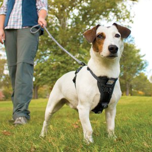 Kurgo Tru-Fit Quick Release & Seatbelt Tether Smart Dog Harness, Black, Medium 