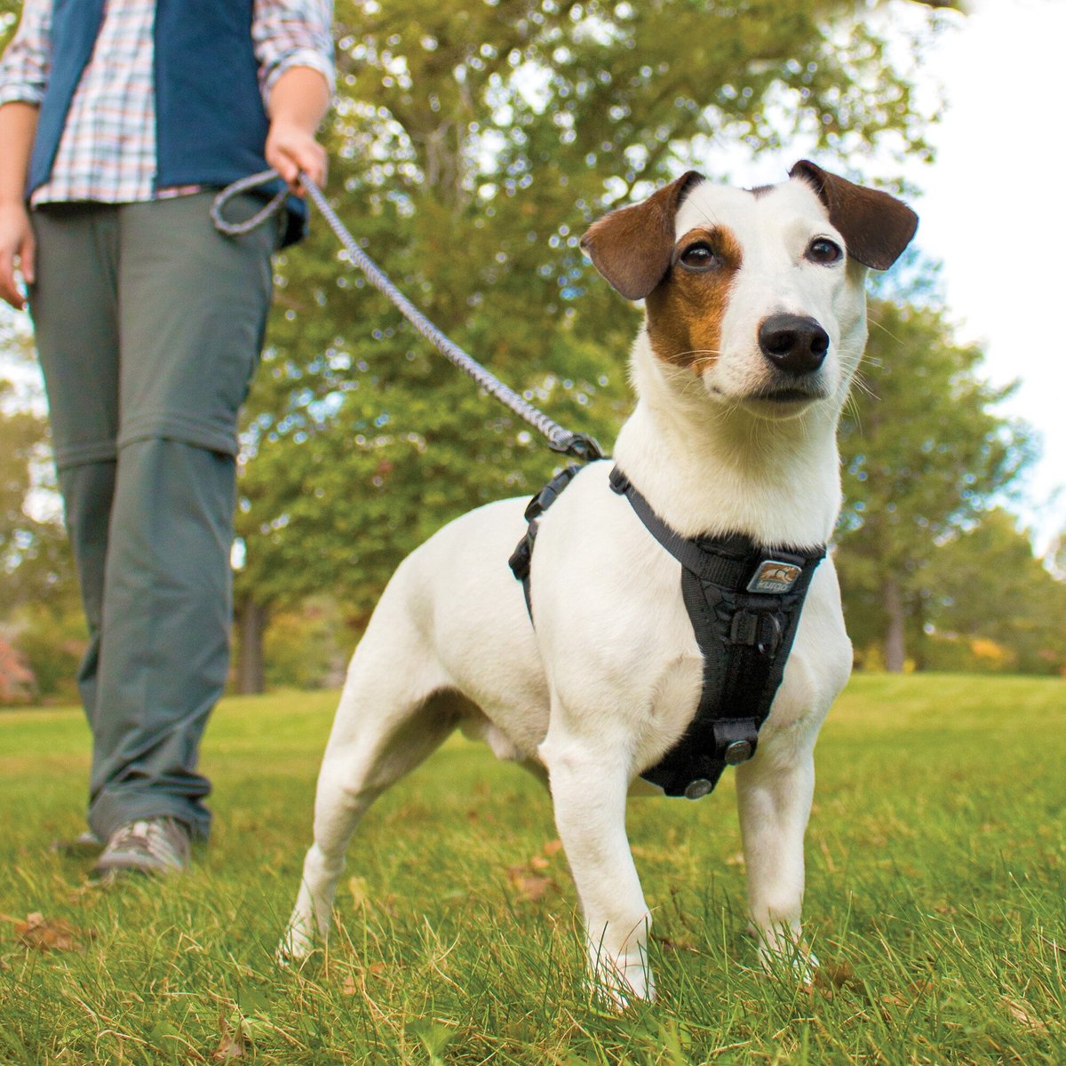 Kurgo Tru-Fit Smart Harness Reflective Dog Harness, Black