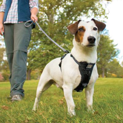 Show full view: Kurgo Tru-Fit Quick Release & Seatbelt Tether Smart Dog Harness, Black, Small slide 8 of 10