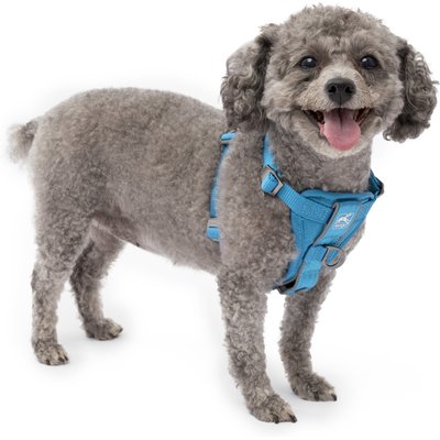Kurgo Kurgo Tru-Fit Quick Release & Seatbelt Tether Smart Dog Harness, Blue, Small