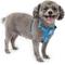 Show in main carousel: Kurgo Tru-Fit Quick Release & Seatbelt Tether Smart Dog Harness, Blue, Small slide 1 of 9