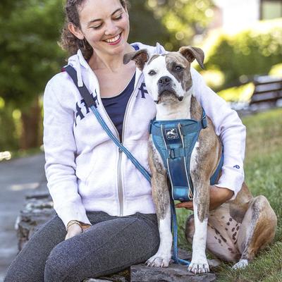 Show full view: Kurgo Tru-Fit Quick Release & Seatbelt Tether Smart Dog Harness, Blue, Small slide 4 of 9