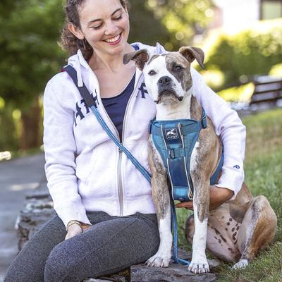 Show full view: Kurgo Tru-Fit Quick Release & Seatbelt Tether Smart Dog Harness, Blue, X-Small slide 4 of 8