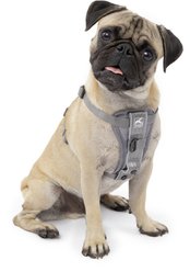 Kurgo Tru-Fit Quick Release & Seatbelt Tether Smart Dog Harness, Charcoal, Small