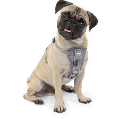 Kurgo Kurgo Tru-Fit Quick Release & Seatbelt Tether Smart Dog Harness, Charcoal, Small