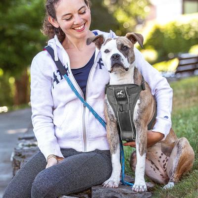 Show full view: Kurgo Tru-Fit Quick Release & Seatbelt Tether Smart Dog Harness, Charcoal, Small slide 4 of 9