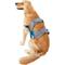 Show in main carousel: Kurgo Up & About Lifter Handicapped Support Dog Harness slide 5 of 12