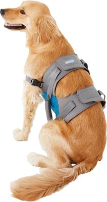 Show full view: Kurgo Up & About Lifter Handicapped Support Dog Harness slide 5 of 12