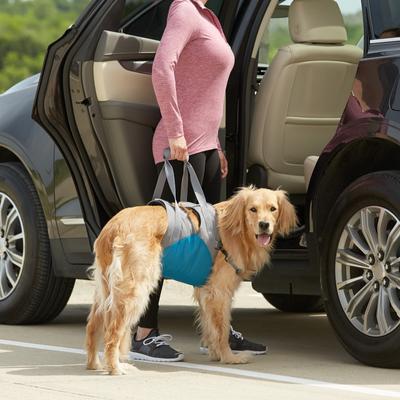 Show full view: Kurgo Up & About Lifter Handicapped Support Dog Harness slide 6 of 12