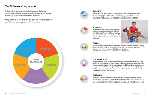 Show full view: Kyra's Canine Conditioning slide 3 of 7