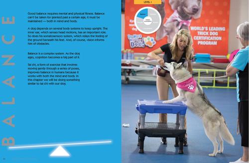 Show full view: Kyra's Canine Conditioning slide 5 of 7