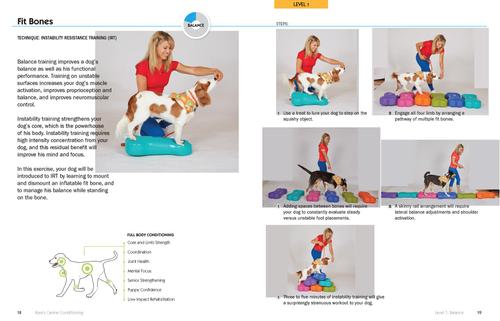 Show full view: Kyra's Canine Conditioning slide 6 of 7